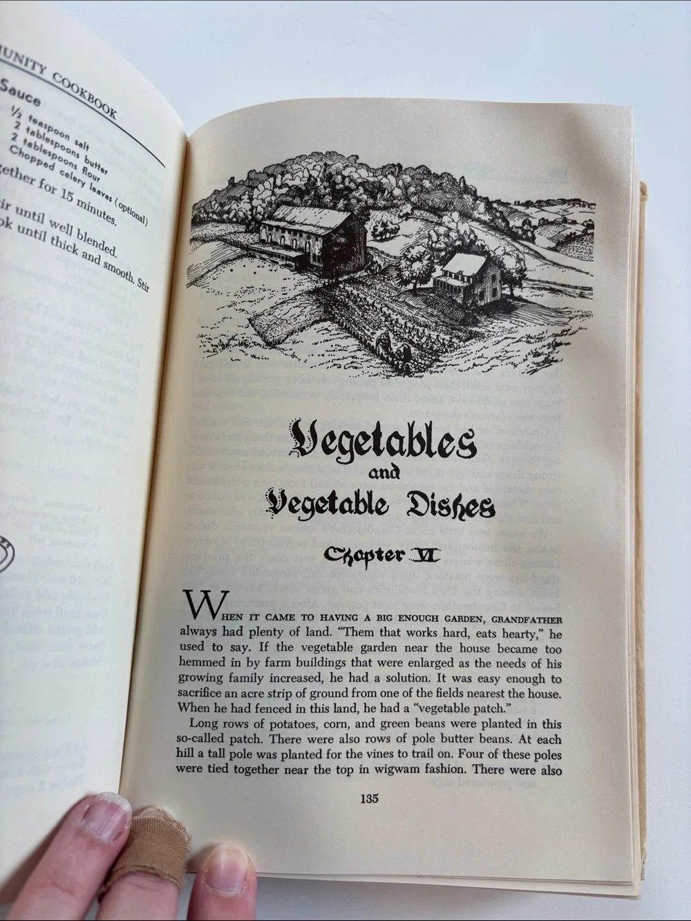 Bundle 2/$30! Vintage Mennonite Cookbook 1990 Printing